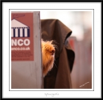 Filename=Spincognito1.jpg
Filesize=160KiB
Dimensions=1150x1116
Date added=Feb 23, 2013 Spincognito1.jpg