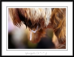 Filename=Spincognito2.jpg
Filesize=178KiB
Dimensions=1150x882
Date added=Feb 23, 2013 Spincognito2.jpg