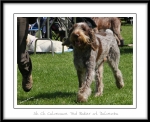 Filename=C-TedBaker-3.jpg
Filesize=476KiB
Dimensions=1100x897
Date added=Feb 23, 2013 C-TedBaker-3.jpg