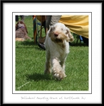 Filename=D-AmazingGrace-2.jpg
Filesize=330KiB
Dimensions=850x871
Date added=Feb 23, 2013 D-AmazingGrace-2.jpg