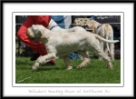 Filename=D-AmazingGrace-3.jpg
Filesize=376KiB
Dimensions=1100x802
Date added=Feb 23, 2013 D-AmazingGrace-3.jpg