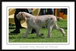 Filename=H-CrazyDiamond-3.jpg
Filesize=365KiB
Dimensions=1100x755
Date added=Feb 23, 2013 H-CrazyDiamond-3.jpg