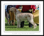 Filename=H-CrazyDiamond.jpg
Filesize=494KiB
Dimensions=1100x899
Date added=Feb 23, 2013 H-CrazyDiamond.jpg