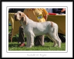 Filename=H-KirRoyale.jpg
Filesize=457KiB
Dimensions=1100x884
Date added=Feb 23, 2013 H-KirRoyale.jpg