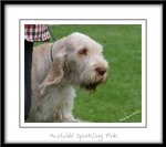 Filename=H-SparklingPink-3.jpg
Filesize=211KiB
Dimensions=850x755
Date added=Feb 23, 2013 H-SparklingPink-3.jpg