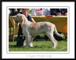Filename=L-Glenglassaugh.jpg
Filesize=487KiB
Dimensions=1100x884
Date added=Feb 23, 2013 L-Glenglassaugh.jpg