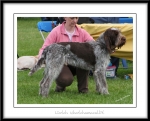 Filename=L-Whatchamacallit.jpg
Filesize=463KiB
Dimensions=1100x893
Date added=Feb 23, 2013 L-Whatchamacallit.jpg