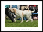 Filename=M-GoodAsGold-2.jpg
Filesize=361KiB
Dimensions=1100x824
Date added=Feb 23, 2013 M-GoodAsGold-2.jpg