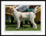 Filename=M-GoodAsGold.jpg
Filesize=439KiB
Dimensions=1100x862
Date added=Feb 23, 2013 M-GoodAsGold.jpg
