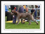 Filename=M-JustWilliam-2.jpg
Filesize=358KiB
Dimensions=1100x827
Date added=Feb 23, 2013 M-JustWilliam-2.jpg