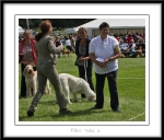 Filename=RBCC-2.jpg
Filesize=505KiB
Dimensions=1100x944
Date added=Feb 23, 2013 RBCC-2.jpg