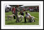 Filename=RBCC.jpg
Filesize=444KiB
Dimensions=1100x756
Date added=Feb 23, 2013 RBCC.jpg