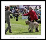 Filename=RDCC.jpg
Filesize=518KiB
Dimensions=1100x954
Date added=Feb 23, 2013 RDCC.jpg