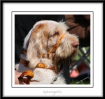 Filename=Spincognito-3.jpg
Filesize=303KiB
Dimensions=900x857
Date added=Feb 23, 2013 Spincognito-3.jpg