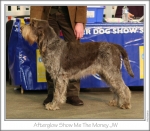 Filename=A-ShowMeTheMoney.jpg
Filesize=178KiB
Dimensions=871x766
Date added=Feb 23, 2013 A-ShowMeTheMoney.jpg