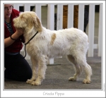 Filename=C-Pippa.jpg
Filesize=189KiB
Dimensions=873x814
Date added=Feb 23, 2013 C-Pippa.jpg