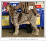 Filename=C-TedBaker.jpg
Filesize=252KiB
Dimensions=871x768
Date added=Feb 23, 2013 C-TedBaker.jpg