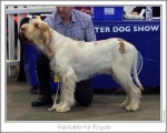 Filename=H-KirRoyale.jpg
Filesize=170KiB
Dimensions=868x697
Date added=Feb 23, 2013 H-KirRoyale.jpg