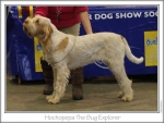 Filename=H-TheBugExplorer.jpg
Filesize=157KiB
Dimensions=866x654
Date added=Feb 23, 2013 H-TheBugExplorer.jpg