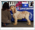 Filename=I-Fiorenzo.jpg
Filesize=197KiB
Dimensions=870x746
Date added=Feb 23, 2013 I-Fiorenzo.jpg