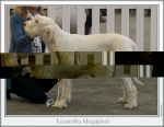 Filename=K-Megapixel.jpg
Filesize=157KiB
Dimensions=867x672
Date added=Feb 23, 2013 K-Megapixel.jpg