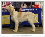 Filename=L-Glenglassaugh.jpg
Filesize=207KiB
Dimensions=868x717
Date added=Feb 23, 2013 L-Glenglassaugh.jpg