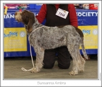 Filename=S-Ambra.jpg
Filesize=226KiB
Dimensions=870x739
Date added=Feb 23, 2013 S-Ambra.jpg