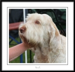 Filename=B-AlFresco.jpg
Filesize=424KiB
Dimensions=1050x1012
Date added=Feb 23, 2013 B-AlFresco.jpg