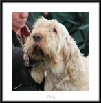 Filename=B-Bartolomeo.jpg
Filesize=463KiB
Dimensions=1050x1066
Date added=Feb 23, 2013 B-Bartolomeo.jpg