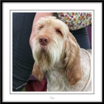 Filename=B-Finlay-2.jpg
Filesize=465KiB
Dimensions=1050x1048
Date added=Feb 23, 2013 B-Finlay-2.jpg