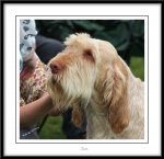 Filename=B-Finlay.jpg
Filesize=427KiB
Dimensions=1050x1018
Date added=Feb 23, 2013 B-Finlay.jpg