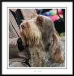 Filename=C-TedBaker-2.jpg
Filesize=512KiB
Dimensions=1050x1077
Date added=Feb 23, 2013 C-TedBaker-2.jpg