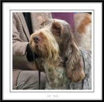 Filename=C-TedBaker.jpg
Filesize=463KiB
Dimensions=1050x1042
Date added=Feb 23, 2013 C-TedBaker.jpg