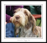 Filename=G-PeggySue-2.jpg
Filesize=442KiB
Dimensions=1050x986
Date added=Feb 23, 2013 G-PeggySue-2.jpg