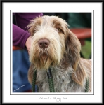 Filename=G-PeggySue.jpg
Filesize=513KiB
Dimensions=1050x1064
Date added=Feb 23, 2013 G-PeggySue.jpg