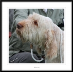 Filename=N-GotToBeThere.jpg
Filesize=427KiB
Dimensions=1050x1038
Date added=Feb 23, 2013 N-GotToBeThere.jpg