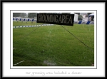 Rain-1.jpg