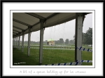 Rain-2.jpg