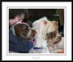 Filename=Spincognito-2.jpg
Filesize=408KiB
Dimensions=1048x896
Date added=Feb 23, 2013 Spincognito-2.jpg