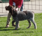Filename=C-Fiorucci.jpg
Filesize=443KiB
Dimensions=700x589
Date added=Feb 23, 2013 C-Fiorucci.jpg