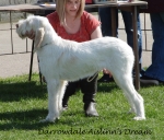 Filename=D-AislinnsDream.jpg
Filesize=428KiB
Dimensions=700x599
Date added=Feb 23, 2013 D-AislinnsDream.jpg