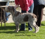 Filename=G-PeggySue.jpg
Filesize=433KiB
Dimensions=700x611
Date added=Feb 23, 2013 G-PeggySue.jpg