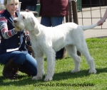Filename=G-Roccamonfina.jpg
Filesize=415KiB
Dimensions=700x593
Date added=Feb 23, 2013 G-Roccamonfina.jpg