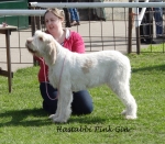 Filename=H-PinkGin.jpg
Filesize=461KiB
Dimensions=700x612
Date added=Feb 23, 2013 H-PinkGin.jpg