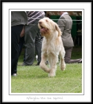 Filename=A-NiceOneSquirrel-3.jpg
Filesize=397KiB
Dimensions=1050x1165
Date added=Feb 23, 2013 A-NiceOneSquirrel-3.jpg