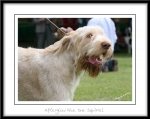 Filename=A-NiceOneSquirrel-5.jpg
Filesize=258KiB
Dimensions=1050x834
Date added=Feb 23, 2013 A-NiceOneSquirrel-5.jpg