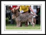 Filename=C-Comus-2.jpg
Filesize=259KiB
Dimensions=1052x811
Date added=Feb 23, 2013 C-Comus-2.jpg