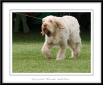 Filename=F-BlondeAmbition-3.jpg
Filesize=299KiB
Dimensions=1052x870
Date added=Feb 23, 2013 F-BlondeAmbition-3.jpg