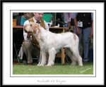 Filename=H-KirRoyale-3.jpg
Filesize=245KiB
Dimensions=1052x874
Date added=Feb 23, 2013 H-KirRoyale-3.jpg