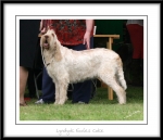 Filename=L-EcclesCake-2.jpg
Filesize=231KiB
Dimensions=1052x906
Date added=Feb 23, 2013 L-EcclesCake-2.jpg